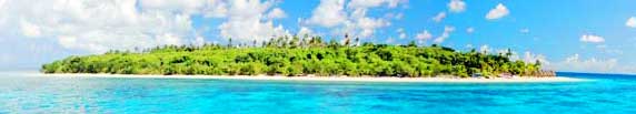 horizon island