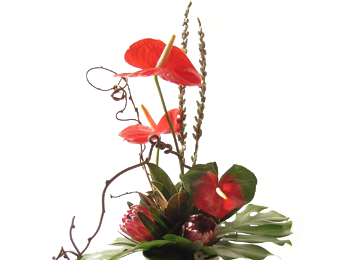 pink flower